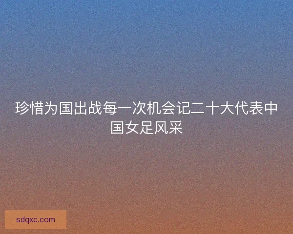 珍惜为国出战每一次机会记二十大代表中国女足风采