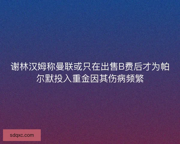 谢林汉姆称曼联或只在出售B费后才为帕尔默投入重金因其伤病频繁