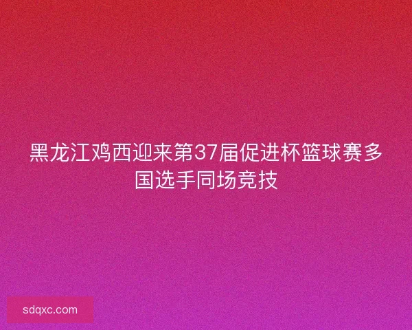 黑龙江鸡西迎来第37届促进杯篮球赛多国选手同场竞技