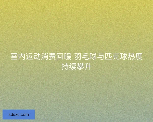 室内运动消费回暖 羽毛球与匹克球热度持续攀升
