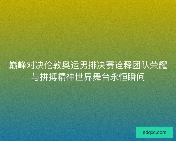 巅峰对决伦敦奥运男排决赛诠释团队荣耀与拼搏精神世界舞台永恒瞬间